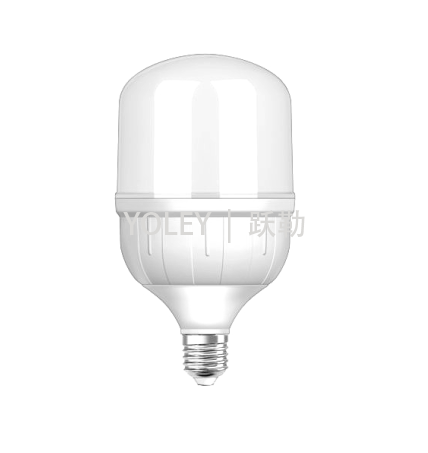 YLMG1491  |  LED低压直流灯泡