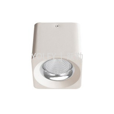 YLMA3113  |  LED方形明装筒灯