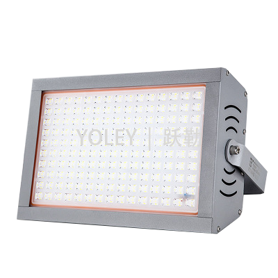 YLZT5106  |  LED投光灯