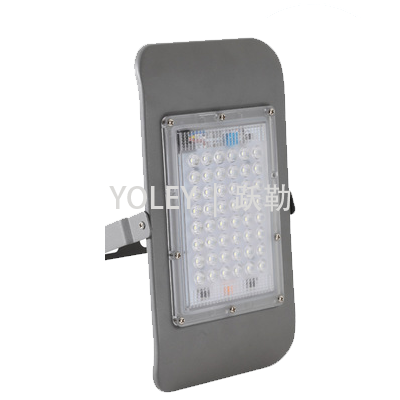 YLZT5100  |  LED泛光灯